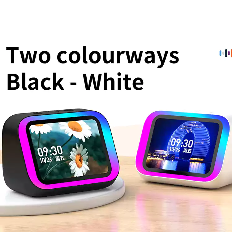 wholesale wireless speaker 13