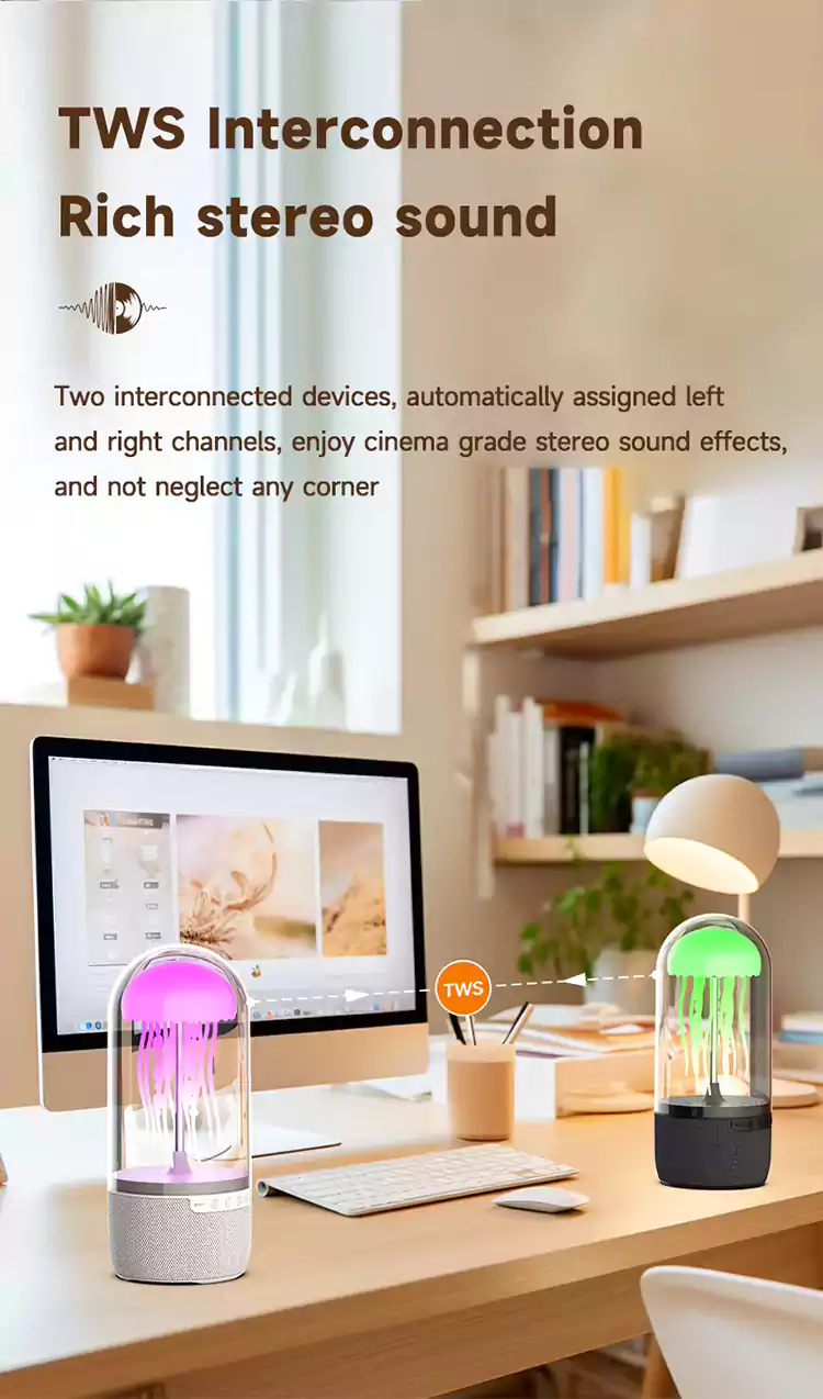 max113 gift speaker 16