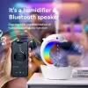 2025 wholesale dolphin diffuser humidifier speaker 06